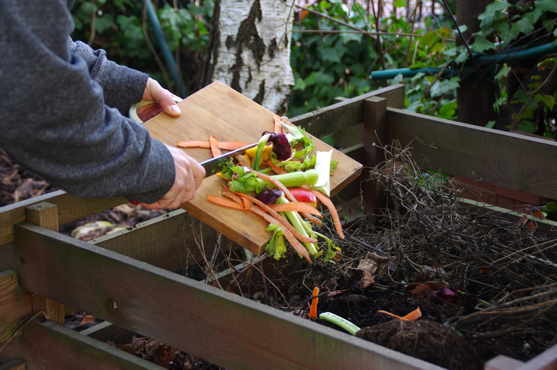 Pourquoi Ne Pas Mettre Dagrumes Dans Le Compost