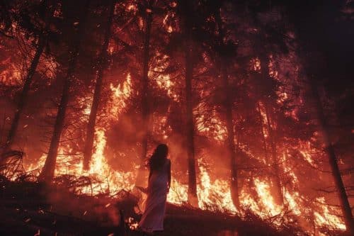 Rêver de feu : Significations et interprétations dans vos songes - Guide 2024