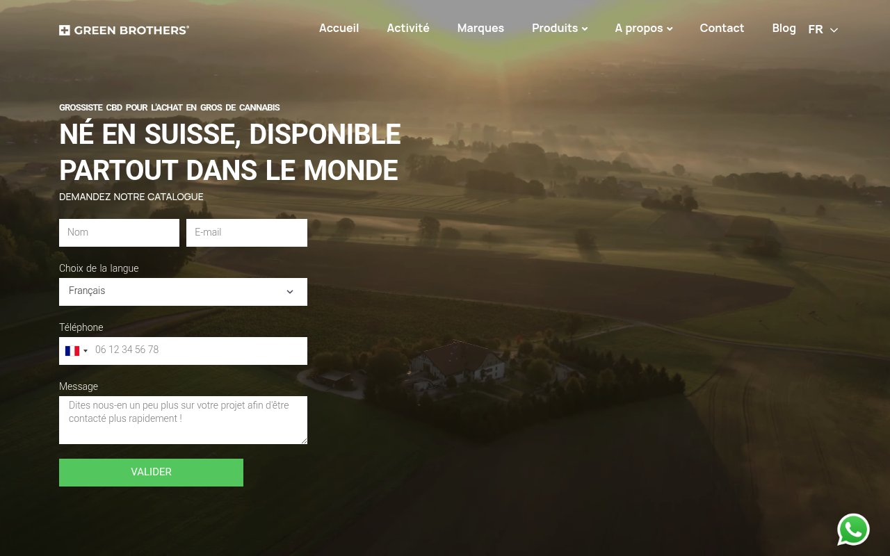 Apercu du site Green Brothers