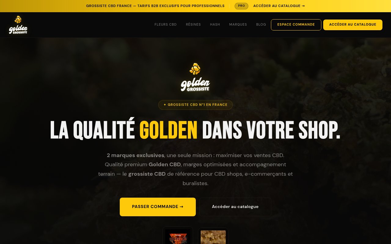 Apercu du site Golden Groupe